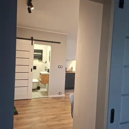 Apartment Jagiellonskie *